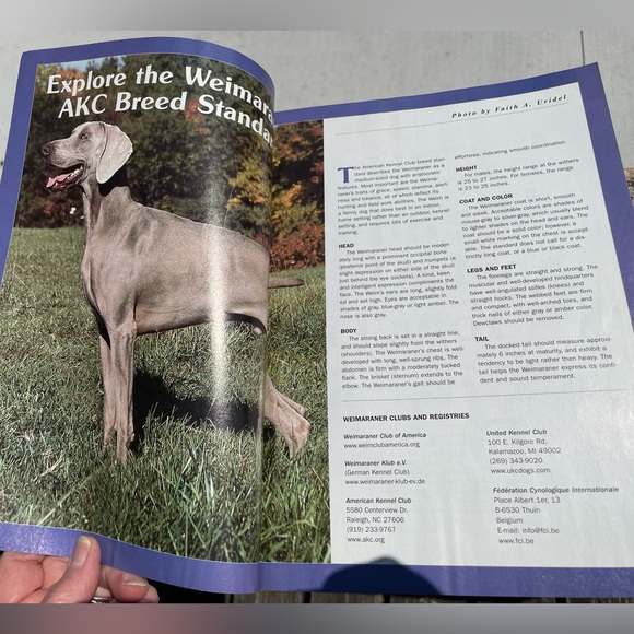Dog Fancy Popular Dogs Series Weimaraners Volume 42 Magazine Format 128 pages - Picture 6 of 8